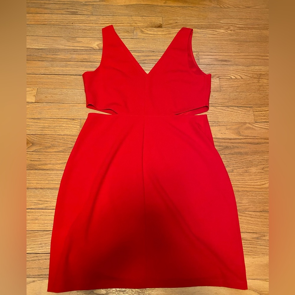 Express Dress - Picture 2 of 3